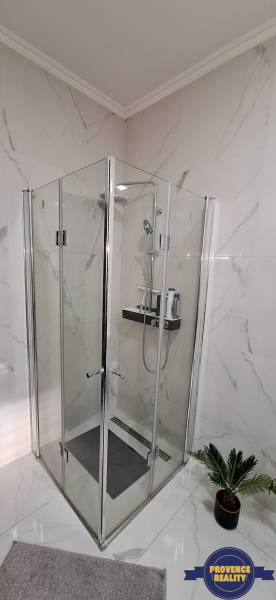 Sprchovací kút v kúpeľni s keramickými obkladmi a dekoratívnou rastlinou v Rodinnom dome.